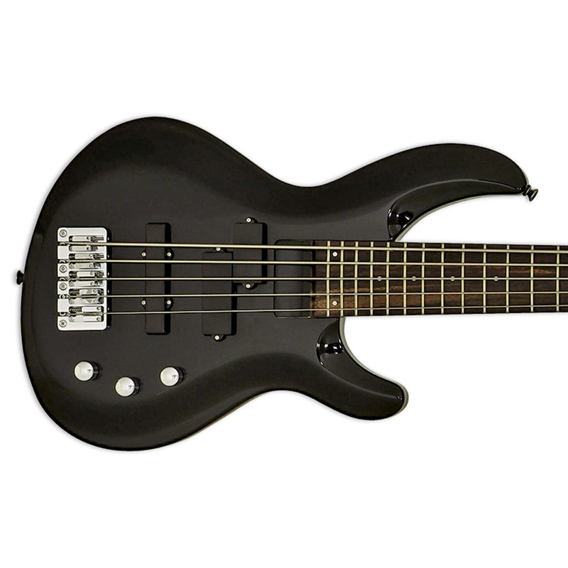 Aria IGB-STD/5 Pro II Electric Bass – 5-String Metallic Black