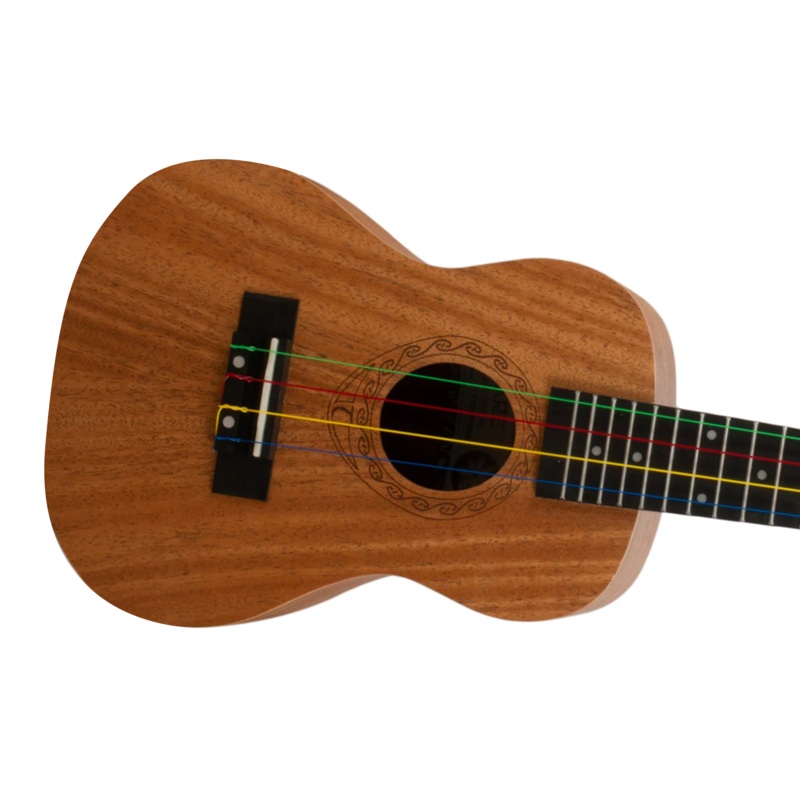 [DISCOUNTED BLOWOUT] Tanglewood TU101 Concert Ukulele & Gigbag “Sunset”