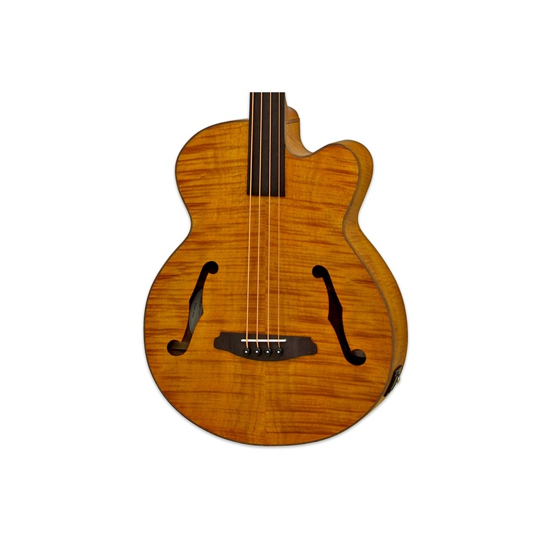 Aria FEB-F2/FL Acoustic Electric Fretless Bass Guitar – Stained Brown