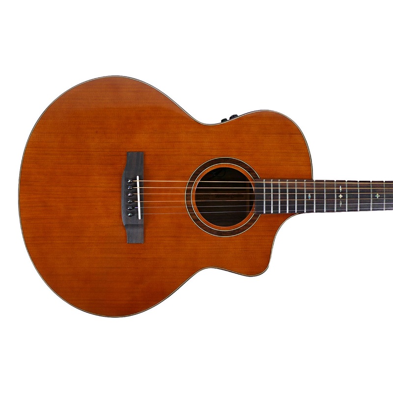 Willow Creek FX-PG73 Ebony Deluxe Acoustic Grand Auditorium Guitar w/ Effects