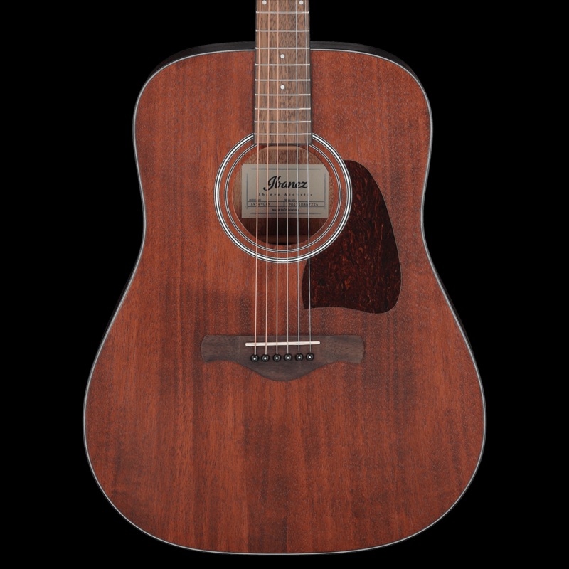 Ibanez AW54 Acoustic Guitar – Open Pore Natural