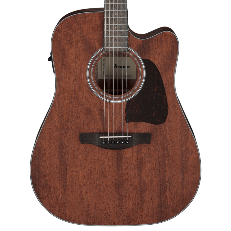 Ibanez AW54CE – Open Pore Natural