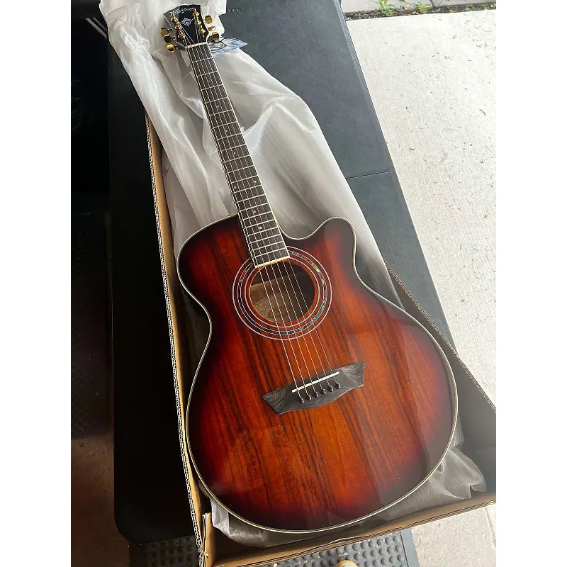 Washburn Festival EA55G Acoustic/Electric Guitar – Koa Burst